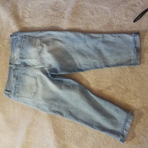 Black Daisy Kate - Picture 10 of 10